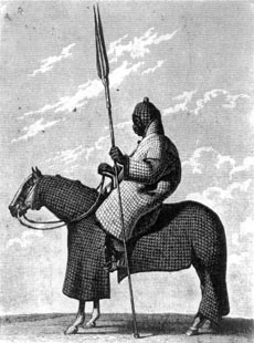 THE AFRICAN KNIGHTS THE ARMIES OF SOKOTO, BORNU AND 